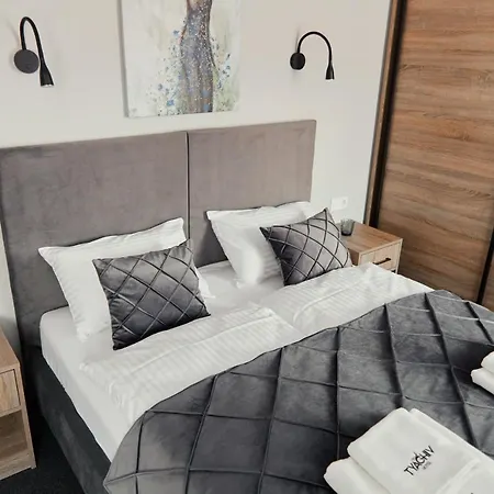 ホテル Готель Тячів