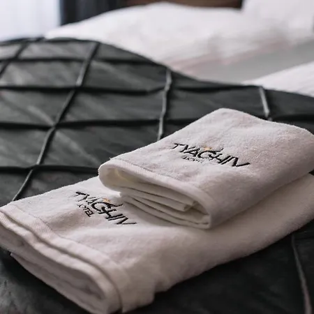 Готель Тячів ホテル *