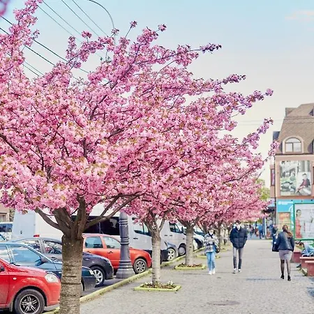 Готель Тячів