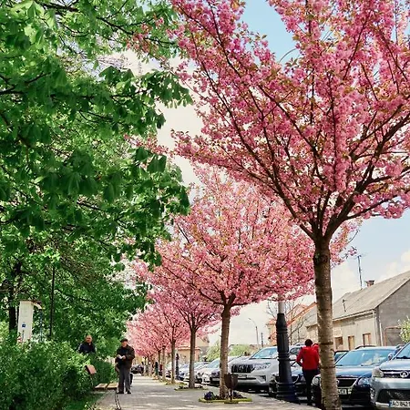 Готель Тячів Tyachiv